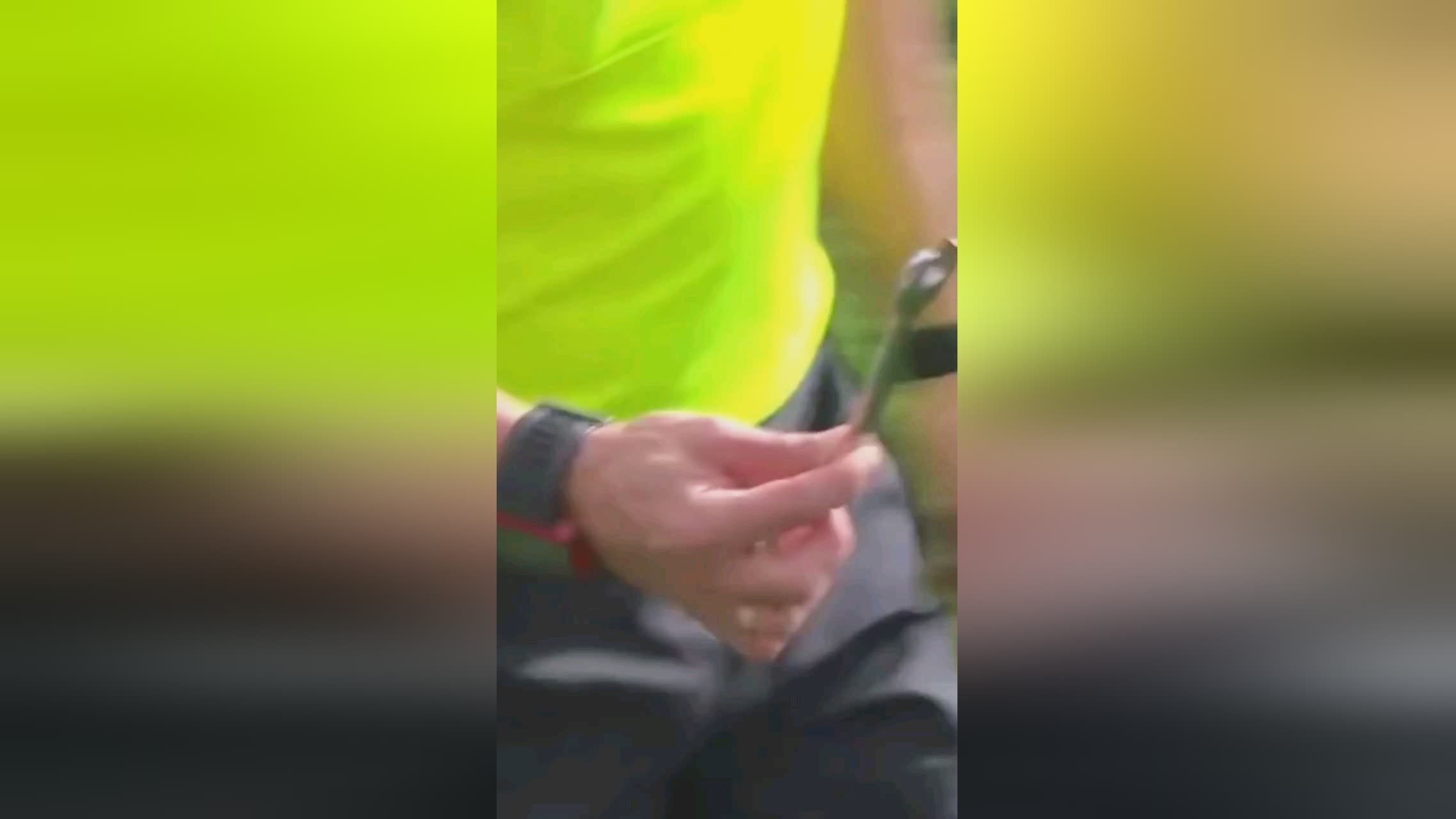 协杯四
